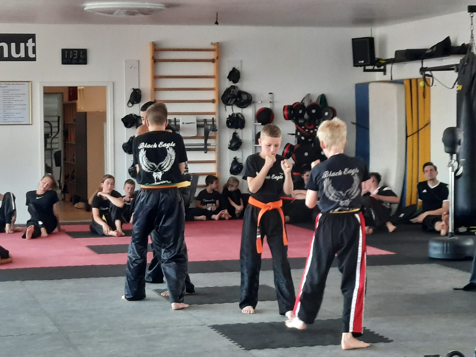 Kinder mit Gelbgurt und höheren Graden beim Training